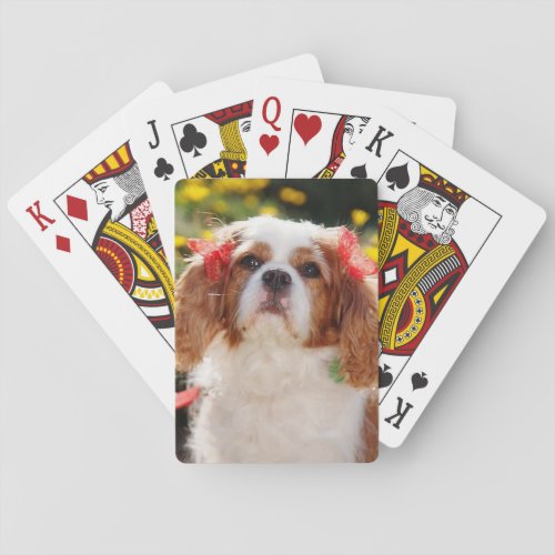 Cavalier Puppy with bows Poker Cards