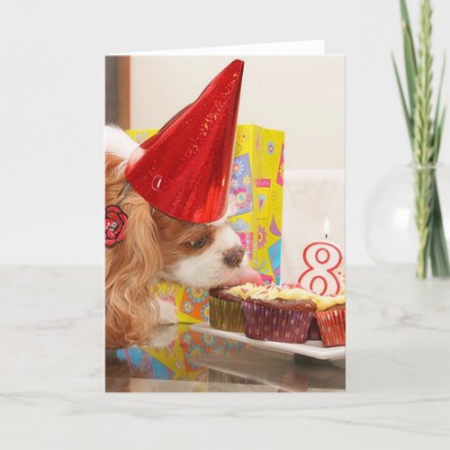 Cavalier Spaniel 8th Birthday Card