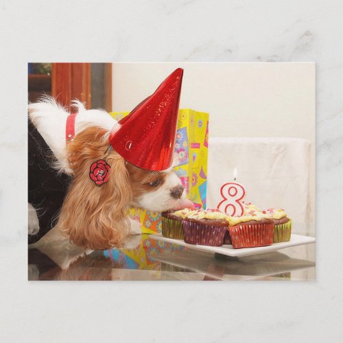 Cavalier Spaniel 8th Birthday Postcard