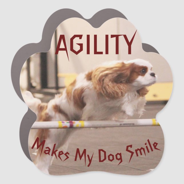 Cavalier Spaniel Agility Car Magnet (Front)