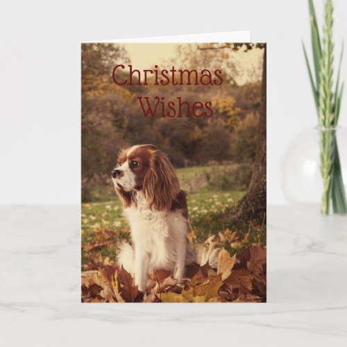 Cavalier Spaniel       Christmas Holiday Card