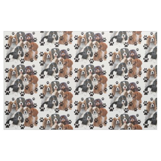 Cavalier Spaniel Colors Fabric