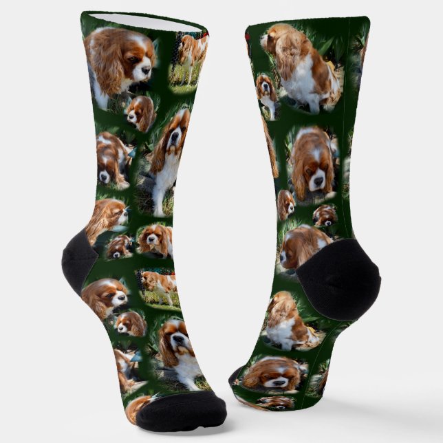 Cavalier Spaniel Photo Collage, Crew Socks (Angled)