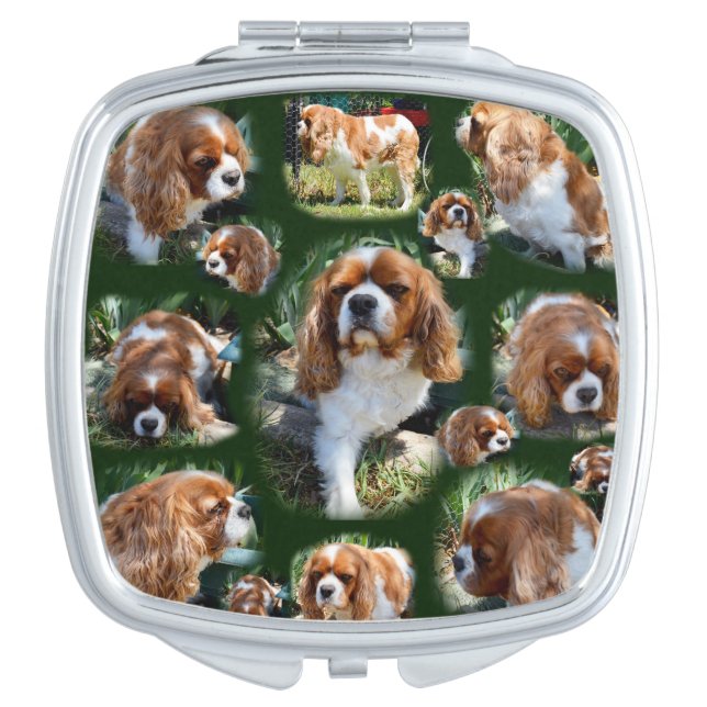 Cavalier Spaniel Photo Collage, Mirror For Makeup (Front)
