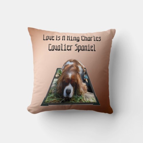 Cavalier Spaniel Popout Art Cushion