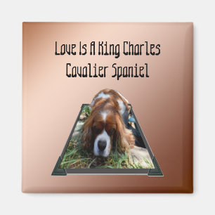 Cavalier Spaniel Popout Art, Fridge Magnet