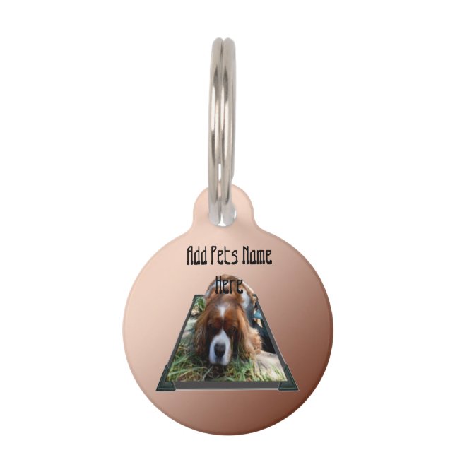 Cavalier Spaniel Popout Art,  Pet ID Tag (Front)