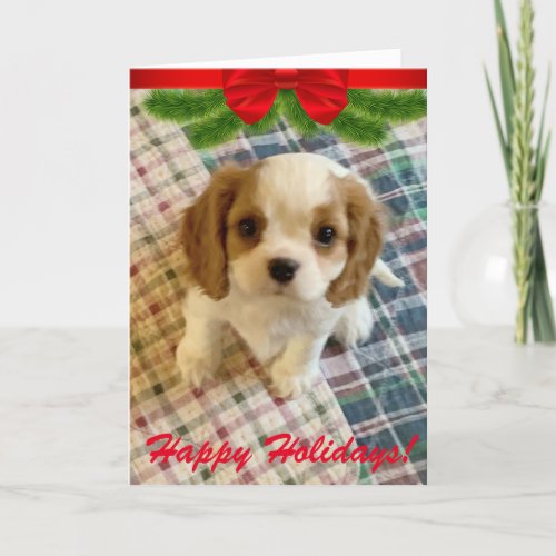 Cavalier Spaniel Puppy Holiday Card