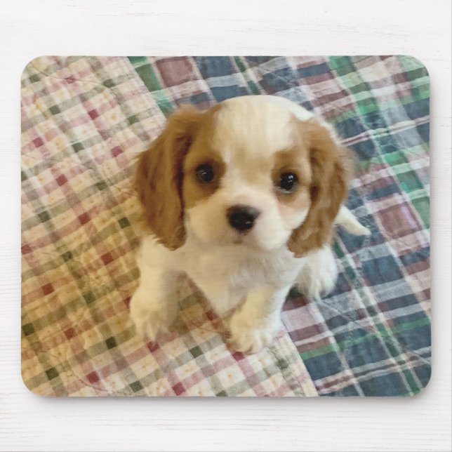 Cavalier Spaniel Puppy Mousepad (Front)