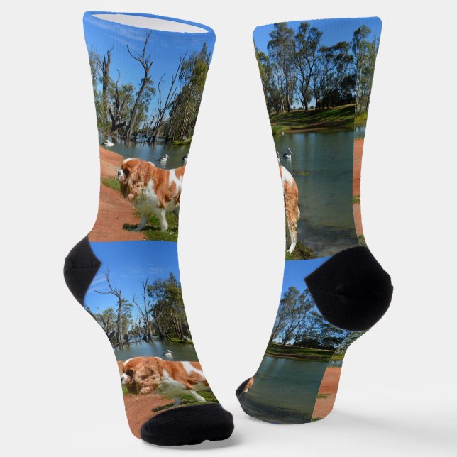 Cavalier Spaniel River Walk, Crew Socks (Angled)