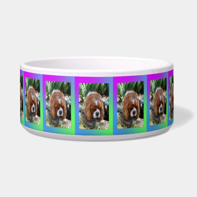 Cavalier Spaniel Sooky Face,   Bowl (Front)