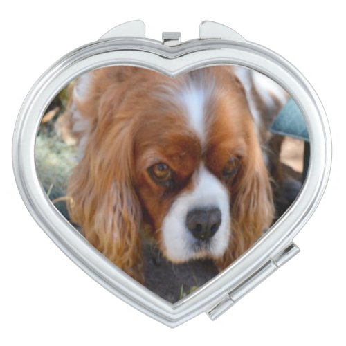 Cavalier Spaniel Sooky Face   Compact Mirror