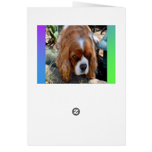 Cavalier Spaniel Wish I Could Be There Burthday (Back)