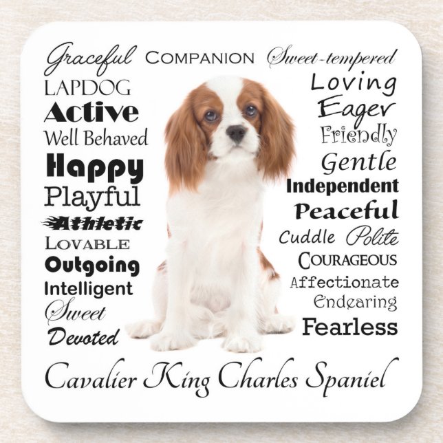 Cavalier Traits Coaster Set (Front)