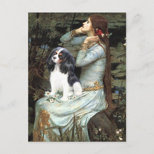 Cavalier Tri6 _ Ophelia Seated Postcard