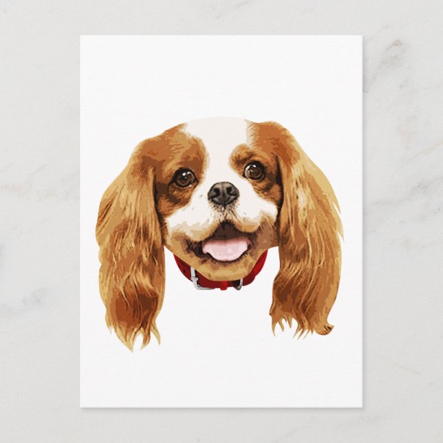 CavalierKingCharlesSpaniel_Epagneul face002 Postcard (Front)