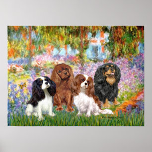 Cavaliers (4) - Garden Poster