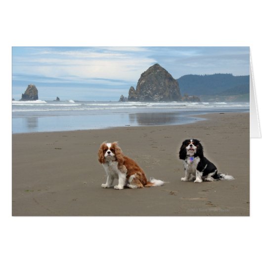 Cavaliers @ Cannon Beach, Oregon Cards (Front Horizontal)