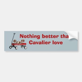 Cavaliers In Wagon Bumper Sticker by normagolden at Zazzle