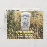 Cavalry Horses Burial Marker, Little Bighorn, MT Postcard