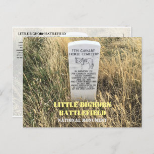 Cavalry Horses Burial Marker, Little Bighorn, MT Postcard