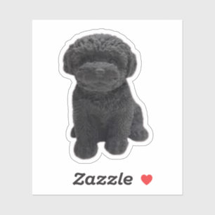 Cavapoo Cavoodle Cockerpoo Puppy black dog Sticker