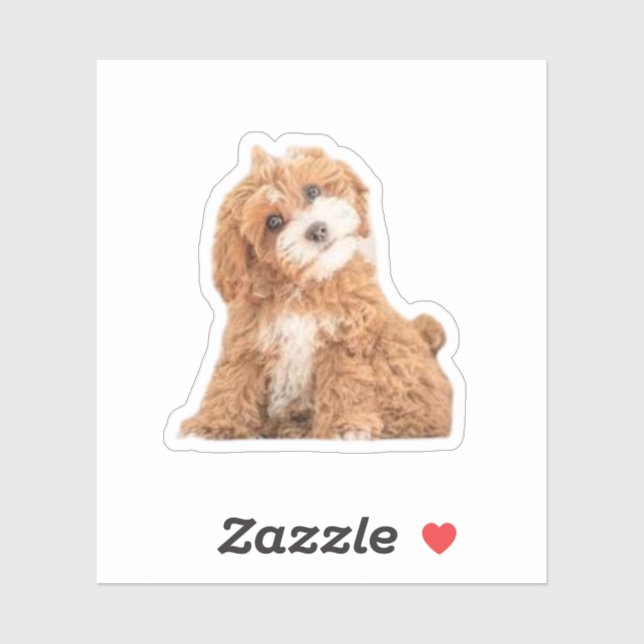 Cavapoo Cavoodle Cockerpoo Puppy Designer dog Sticker (Sheet)