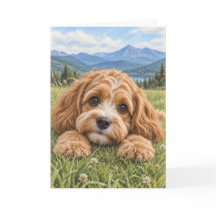 Cavapoo Greeting Card