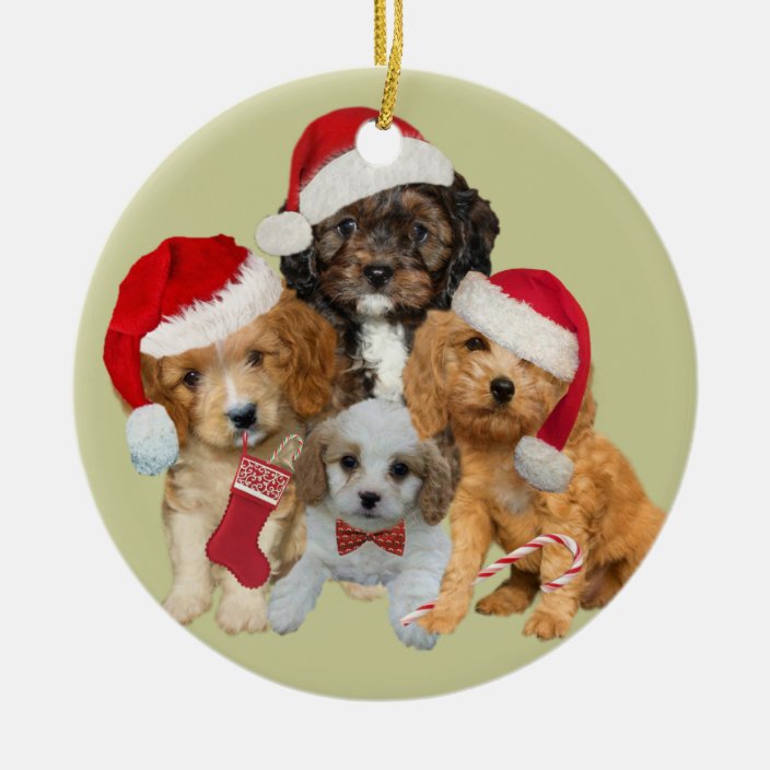 cavapoo dog ornaments
