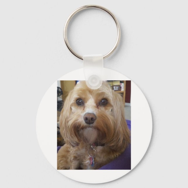Cavapoo or Cavadoodle products Keychain (Front)