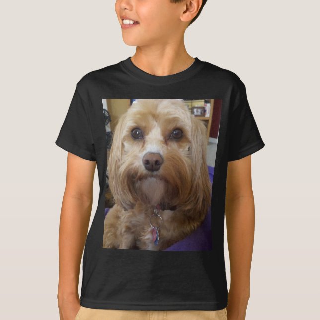 Cavapoo or Cavadoodle products T-Shirt (Front)