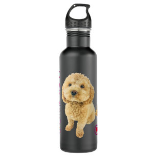 Cavapoo Puppy Dog Poodle cross Noodle Super cute B Stainless Steel Water Bottle