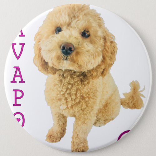 Cavapoo Puppy Dog Poodle Cross Noodle Super Cute Button