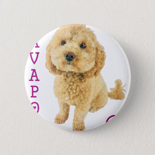 Cavapoo Puppy Dog Poodle Cross Noodle Super Cute Button