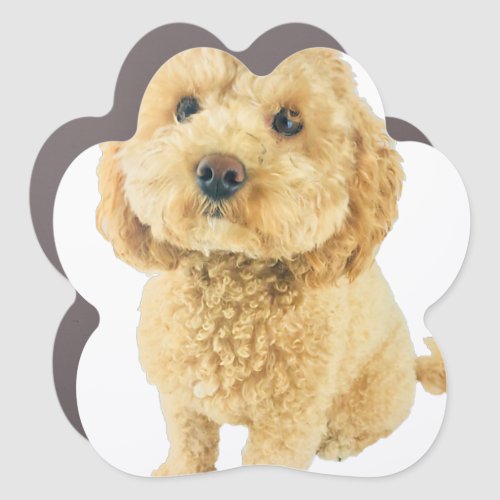 Cavapoo Puppy Dog Poodle Cross Noodle Super Cute Car Magnet