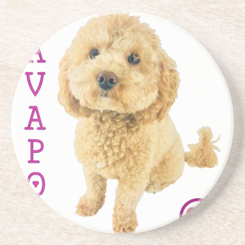 Cavapoo Puppy Dog Poodle Cross Noodle Super Cute Coaster