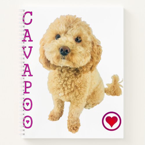 Cavapoo Puppy Dog Poodle Cross Noodle Super Cute Notebook