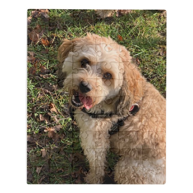 Cavapoo puzzle (Puzzle Vertical)