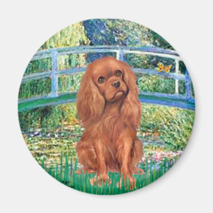 Cavavlier (Ruby7) - Bridge Magnet