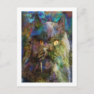 Cave Cat Postcard