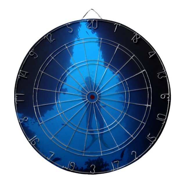 Cave Diver Dartboard With Darts (Front)