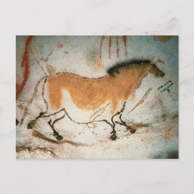 Cave drawings Lascaux French Prehistoric Postcard (Front)