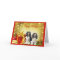 Cavelier King Charles Spaniel Christmas Card Gifts