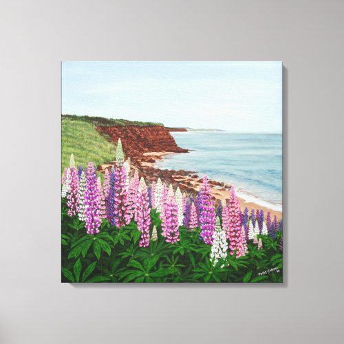 Cavendish Cliffs and Spring Lupins Canvas Print