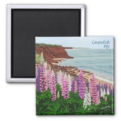 Cavendish Cliffs and Spring Lupins Square Magnet