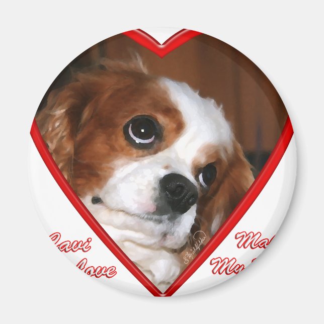 Cavi Love Magnet (Front)