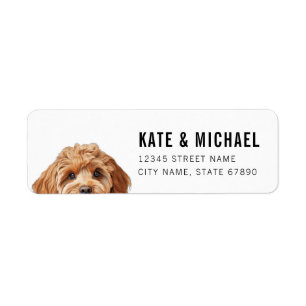 Cavoodle Return Address Labels