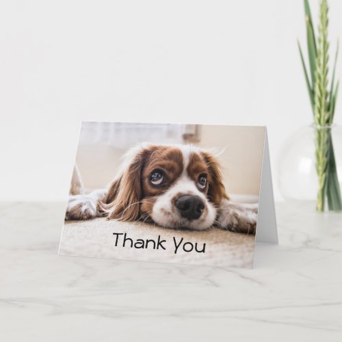 Cavvie Thank You Card