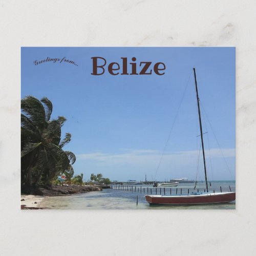Caye Caulker Belize Postcard