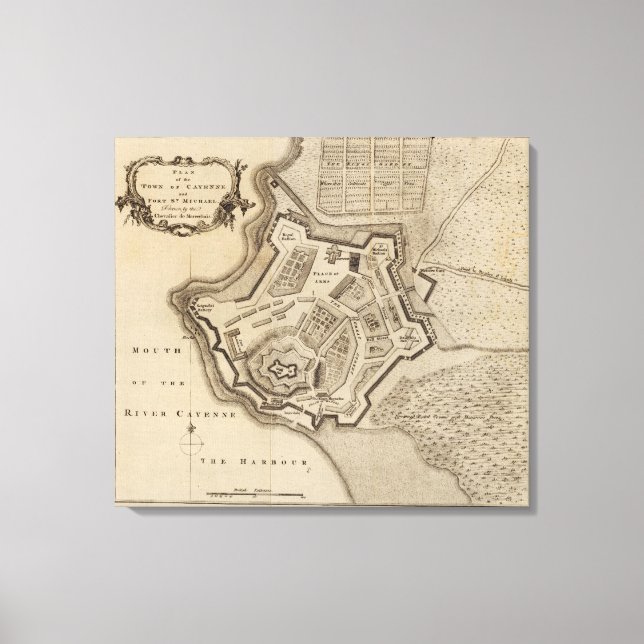 Cayenne 2 canvas print (Front)